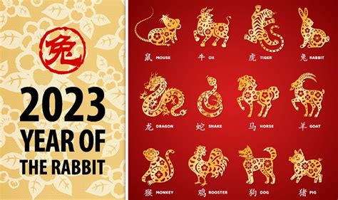 zodiac ball 2023|zodiac 2023 chinese.